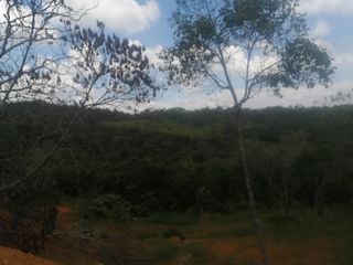 Foto 4 de lote en venta en pance. Cod V9408