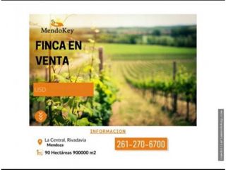 VENTA DE EXCELENTE FINCA 90 HAS EN LA CENTRAL, RIVADAVIA, MENDOZA.