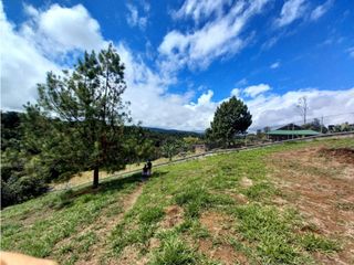 Foto 5 de SE VENDE LOTE VEREDA FLORENCIA.