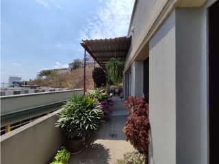 Foto 17 de Ciudad del Sol, Puerto Santa Ana se vende - alquila oficina 495 m2