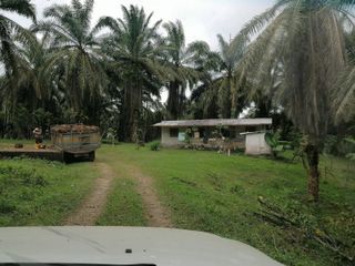 Foto 8 de Venta de 45 hectares LA INDE PENDENCIA