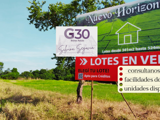 Foto 2 de Loteo Nuevo Horizonte