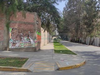 Foto 3 de Terrenos Comerciales Venta CAL. Los Patriotas (ex Av. Malecon) - SAYAN