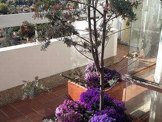Foto 19 de VENTA de CASAS en BOGOTA