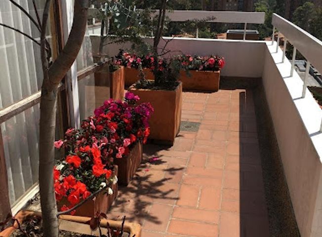 place photo 17