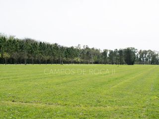 Chacra - Campos de Roca II