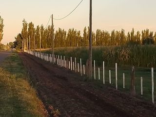 Foto 20 de Venta de 26 hectáreas con casa, galpón monoambiente General Alvear Mendoza