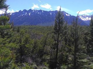 Foto 1 de Chacra - El Bolson