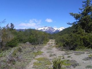 Foto 4 de Chacra - El Bolson