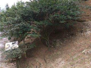 Foto 6 de SE VENDE LOTE EN LA ESTRELLA - ANTIOQUIA