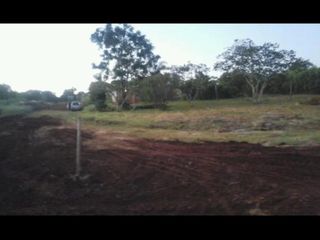 Foto 4 de CAMPO MIXTO EN MISIONES.