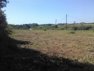Foto 2 de CAMPO MIXTO EN MISIONES.