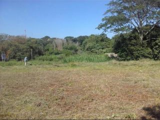 Foto 1 de CAMPO MIXTO EN MISIONES.