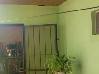 Foto 12 de CAMPO MIXTO EN MISIONES.