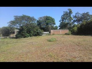 Foto 3 de CAMPO MIXTO EN MISIONES.