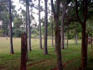 Foto 11 de CAMPO MIXTO EN MISIONES.