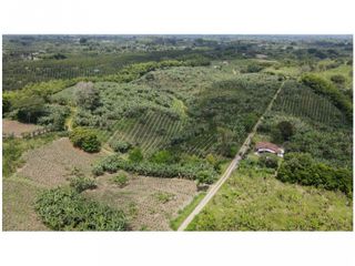 VENTA DE FINCA EN MONTENEGRO, QUINDO, COLOMBIA