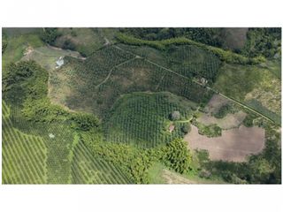 VENTA DE FINCA EN MONTENEGRO, QUINDO, COLOMBIA