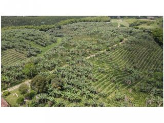 VENTA DE FINCA EN MONTENEGRO, QUINDO, COLOMBIA