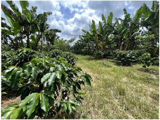 VENTA DE FINCA EN MONTENEGRO, QUINDO, COLOMBIA