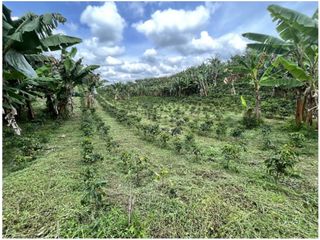 VENTA DE FINCA EN MONTENEGRO, QUINDO, COLOMBIA