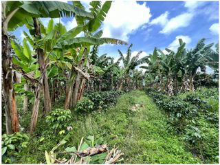 VENTA DE FINCA EN MONTENEGRO, QUINDO, COLOMBIA