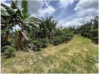 VENTA DE FINCA EN MONTENEGRO, QUINDO, COLOMBIA