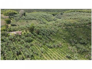 VENTA DE FINCA EN MONTENEGRO, QUINDO, COLOMBIA