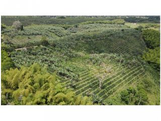 VENTA DE FINCA EN MONTENEGRO, QUINDO, COLOMBIA