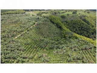 VENTA DE FINCA EN MONTENEGRO, QUINDO, COLOMBIA