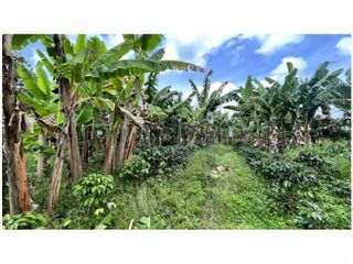 VENTA DE FINCA EN MONTENEGRO, QUINDO, COLOMBIA