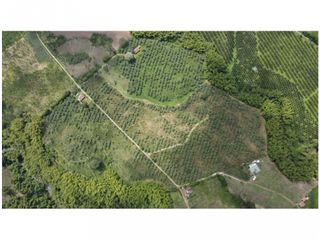 VENTA DE FINCA EN MONTENEGRO, QUINDO, COLOMBIA