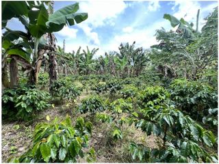 VENTA DE FINCA EN MONTENEGRO, QUINDO, COLOMBIA