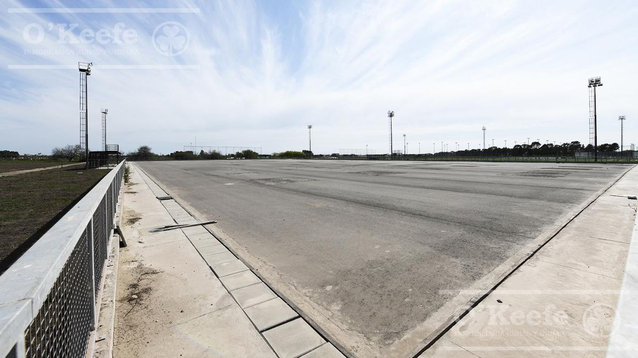 place photo 22