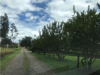 Foto 5 de ARRIENDO PIFO QUINTA 4543 M2- 3 DORMITORIOS CONJUNTO PRIVADO SEGURIDAD