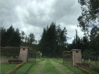 Foto 3 de ARRIENDO PIFO QUINTA 4543 M2- 3 DORMITORIOS CONJUNTO PRIVADO SEGURIDAD