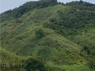 Finca para la venta en Gomez Plata