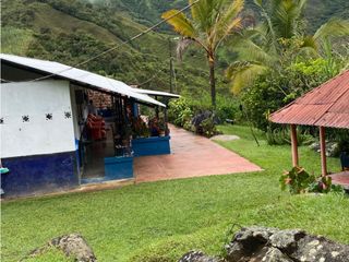 Finca para la venta en Gomez Plata