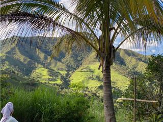 Finca para la venta en Gomez Plata