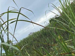 Finca para la venta en Gomez Plata