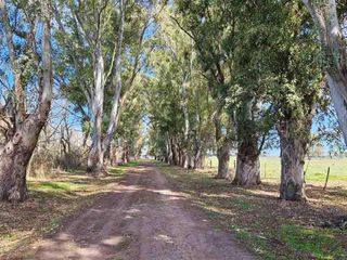 Campo de 77 hectáreas con mejoras en Abbott, San Miguel del Monte