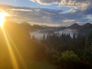 FINCAS PARA VENTA EN ALTO DE PALMAS