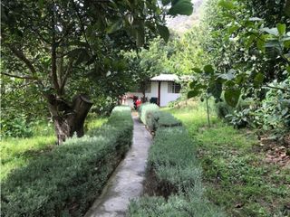 Foto 13 de RENTAL HOUSE GUAYLLABAMBA- PISQUE  $600