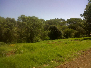 Foto 1 de VENDO TERRENO EN APOSTOLES MISIONES