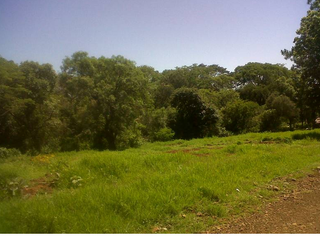 Foto 2 de VENDO TERRENO EN APOSTOLES MISIONES