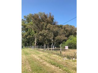 Foto 1 de Lote de 2.643 m2 sobre Ruta 215 (acceso a Brandsen)