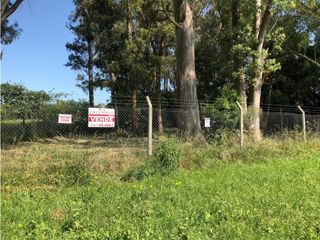 Foto 3 de Lote de 2.643 m2 sobre Ruta 215 (acceso a Brandsen)
