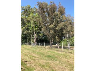 Foto 2 de Lote de 2.643 m2 sobre Ruta 215 (acceso a Brandsen)