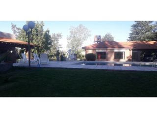 Foto 2 de VENDO CASA QUINTA SAN RAFAEL MENDOZA