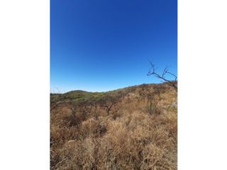 Foto 10 de VENTA-LOTE 2.500m2 LA GRANJA-5TO BAÑO